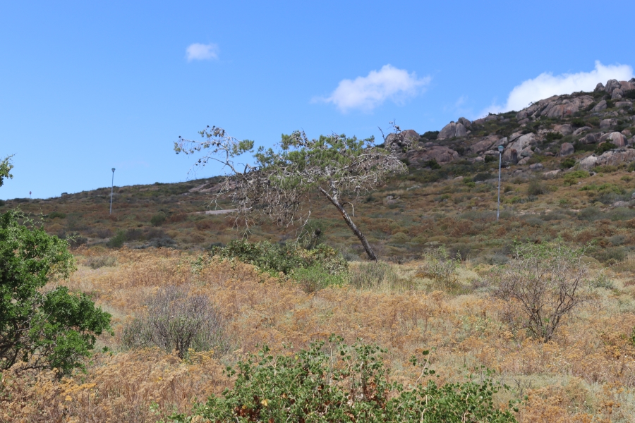 0 Bedroom Property for Sale in St Helena Views Western Cape